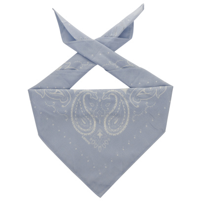 Bandana Paisley by Levi�s�