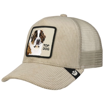 Corduroy Top Dog by Goorin