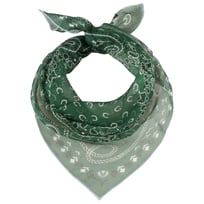 Foulard en Soie Paisley by Fraas - 39,95 &euro;