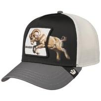 Migration - Banger by Goorin - 49,95 &euro;