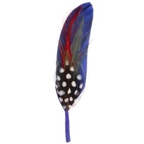 Plume de Chapeau by Stetson - 1,99 &euro;