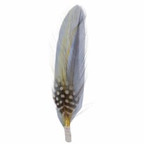 Plume de Chapeau by Stetson - 1,99 &euro;